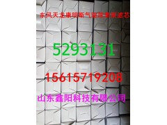 5293131,尿素泵滤芯,济南鑫阳重卡创业工贸有限公司