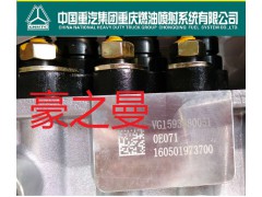 HG1500080124,喷油泵总成,杭州豪之曼汽车配件