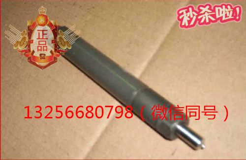 供应VG1560080276重汽豪沃斯太尔发动机喷油器总成/VG1560080276