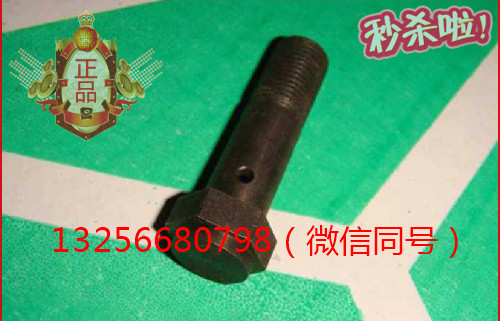 VG1560070012重汽豪沃斯太尔金王子发动机空心螺栓/VG1560070012