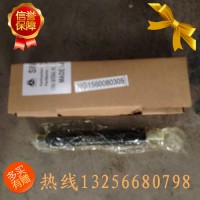 供应61560080305重汽豪沃斯太尔金王子喷油器总成