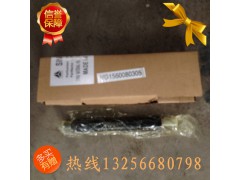 61560080305,喷油器总成,济南凯尔特商贸有限公司