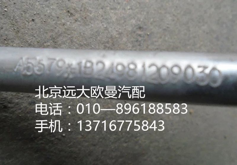 1B24981209030,储—蒸管路总成,北京远大欧曼汽车配件有限公司