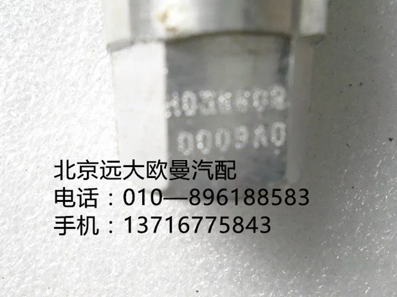 10365080009,滤堵塞,北京远大欧曼汽车配件有限公司