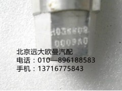 10365080009,滤堵塞,北京远大欧曼汽车配件有限公司