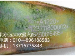 1123711800002,电控器断油缸,北京远大欧曼汽车配件有限公司