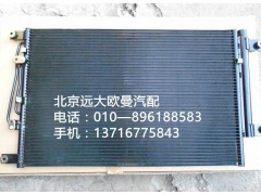 h4812020001a0,冷凝器总成,北京远大欧曼汽车配件有限公司