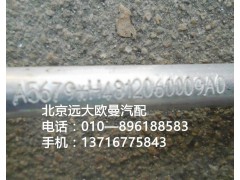 H4812060009A0,冷—蒸管路总成,北京远大欧曼汽车配件有限公司