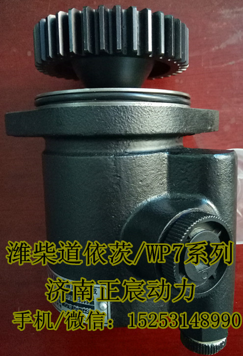 610800130022,潍柴WP7转向助力泵,济南正宸动力汽车零部件有限公司