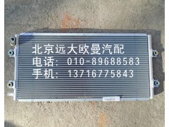 1B24981280061,冷凝器芯体,北京远大欧曼汽车配件有限公司