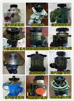 612600130215,助力泵/叶片泵/齿轮泵,济南正宸动力汽车零部件有限公司