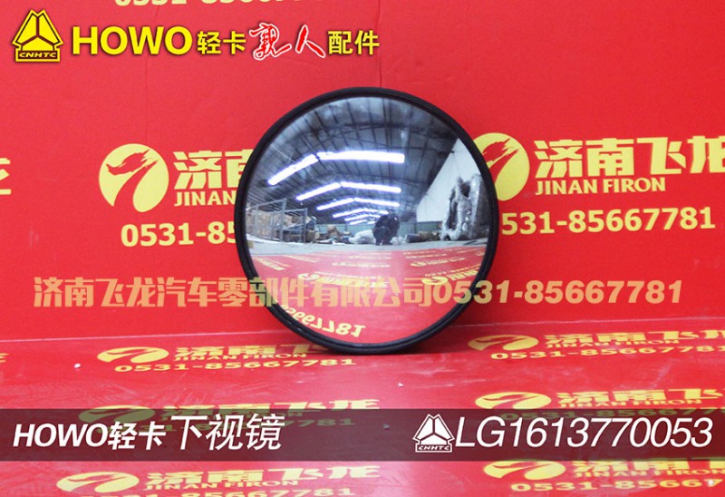 LG1613770053,下视镜,济南飞龙汽车零部件有限公司