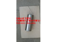 TZ56074100043,重汽豪威60矿下主销,济南鹏翔汽车配件有限公司