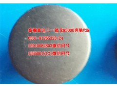 AZ1651740071,前脸扶手塞帽,济南隆旭汽车配件有限公司