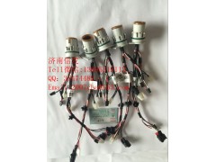 24V-A041B881,Ecofit尿素泵体内线束,济南信发汽车配件有限公司