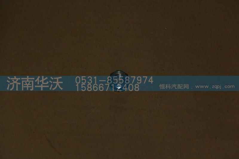 618DA1008109A,增压器螺母M10,济南华沃重卡汽车贸易有限公司