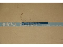 DCQ150B10115,六角头螺栓,济南华沃重卡汽车贸易有限公司