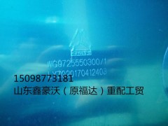 WG9725550300,油箱总成,山东鑫豪沃（原福达）重配工贸有限公司