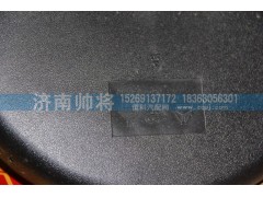 LG1613770053-1,前下视镜,济南帅将商贸有限公司