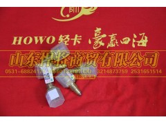 WK-114,HOWO豪沃轻卡倒车灯开关,山东悍将商贸有限公司