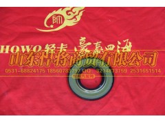 310404002A,HOWO豪沃轻卡后轮毂外油封总成,山东悍将商贸有限公司