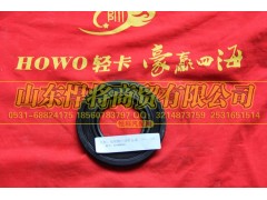 310404003,HOWO豪沃轻卡后轮毂外油封总成,山东悍将商贸有限公司