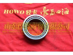 2007114E,HOWO豪沃轻卡差速器轴承总成,山东悍将商贸有限公司