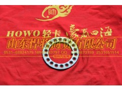 102010018,HOWO豪沃轻卡花垫,山东悍将商贸有限公司