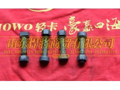 2402C-356,HOWO豪沃轻卡螺栓-差速器壳与从动锥齿轮,山东悍将商贸有限公司