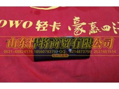 LG1611338036,HOWO豪沃轻卡右门控开关面板,山东悍将商贸有限公司