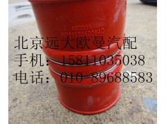 H0119306006A0,连接软管(Φ100),北京远大欧曼汽车配件有限公司