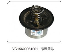 VG15600061201,节温器芯,山东百基安国际贸易有限公司