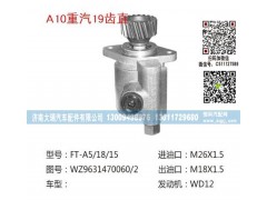 WG96310060/2(QX144),转向泵,济南大瑞汽车配件有限公司