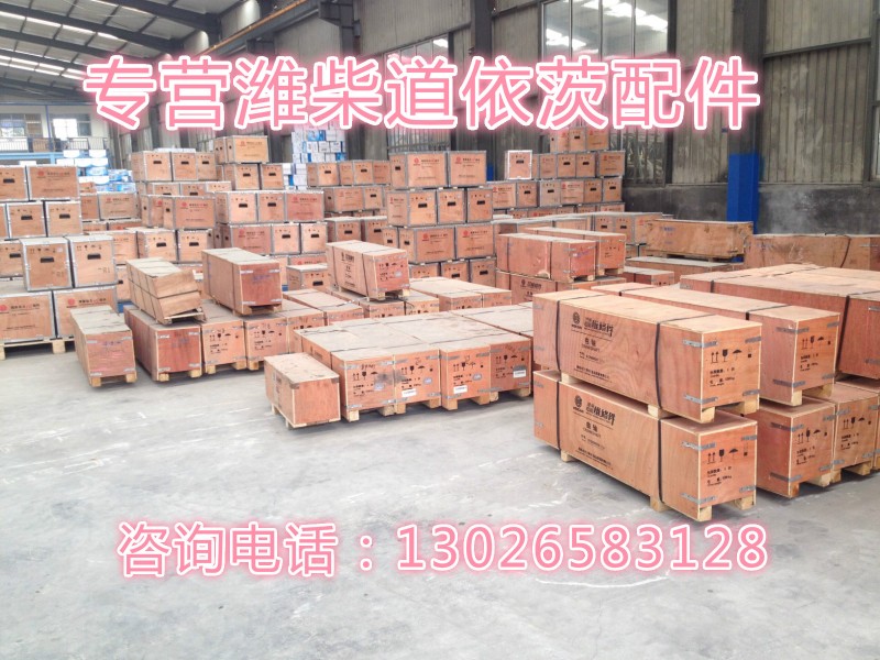13031600  潍柴道依茨  精滤器进油管图1