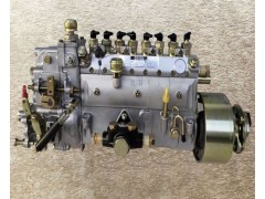 101089-0520,喷油泵Fuel injection pump,济南向前汽车配件有限公司