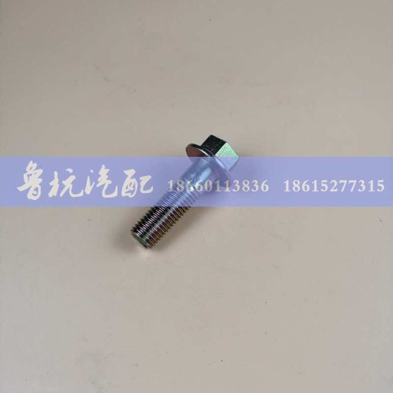 Q1841660TF2,螺栓M16X60,济南鲁杭汽配有限公司