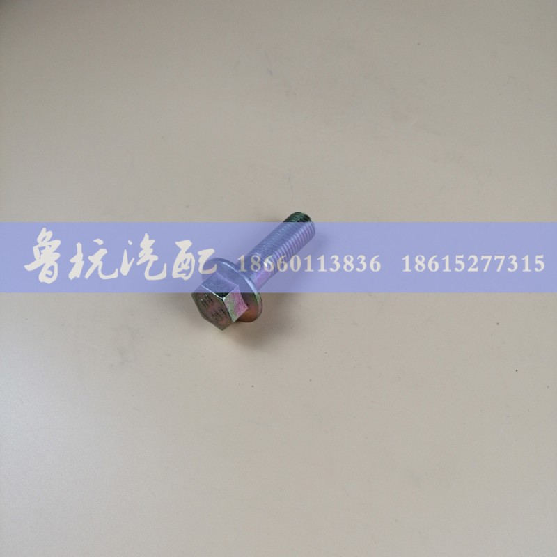 Q1841660TF2,螺栓M16X60,济南鲁杭汽配有限公司