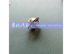 VG1246060029,VG1246060029 D12节温器总成 71度,济南鲁杭汽配有限公司