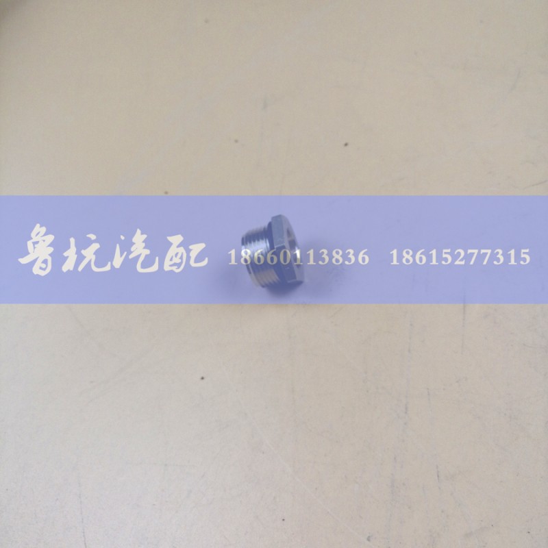 WG9000361009,螺母座（铜）M22,济南鲁杭汽配有限公司