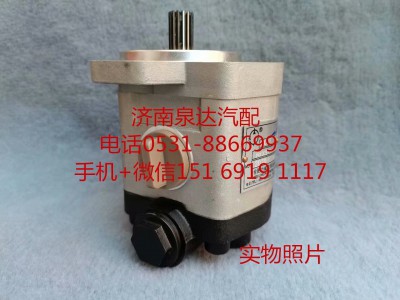 QC20/15-WP6J,转向助力泵,济南泉达汽配有限公司