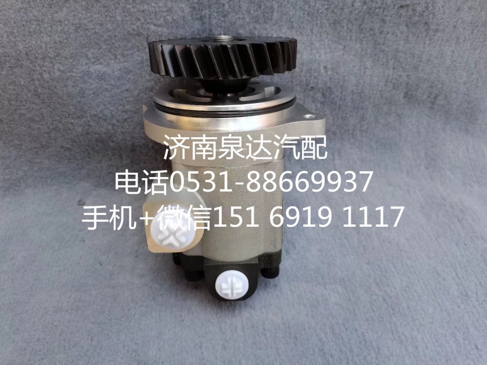 QC25/19-WP12N1-SD,转向助力泵,济南泉达汽配有限公司