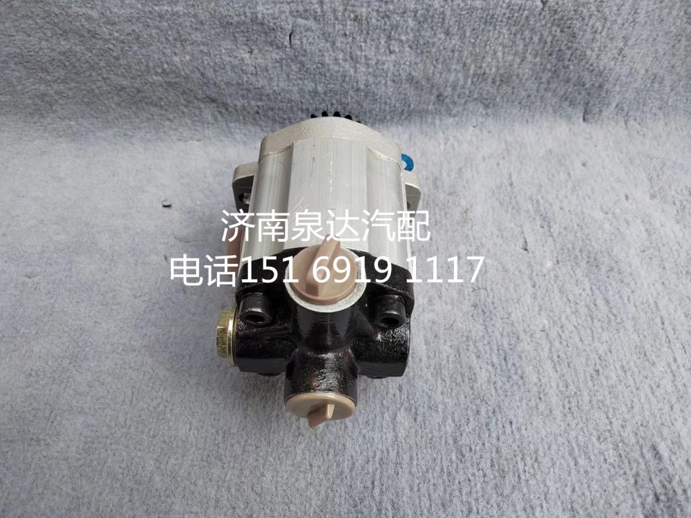 潍柴WD12发动机方向机助力泵转向泵齿轮泵液压油泵/QC25/15-WD12-NJ