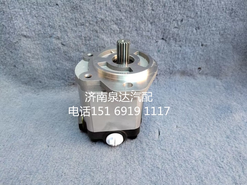 徐工起重機吊車轉(zhuǎn)向泵液壓油泵齒輪泵QC18/13-D14XZ/QC18/13-D14XZ