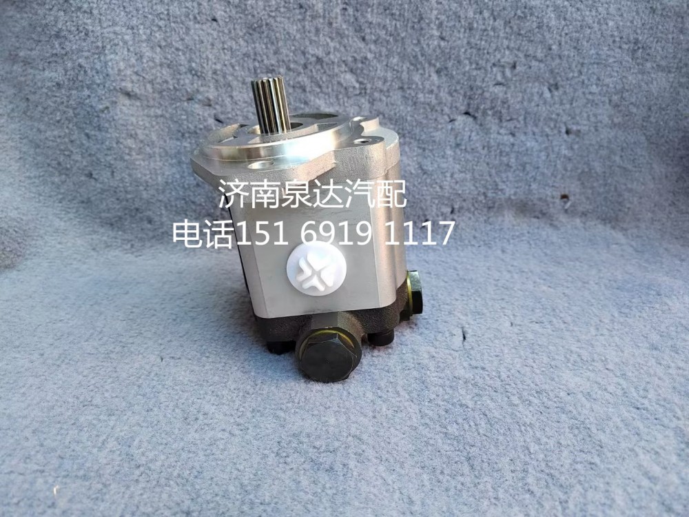 徐工起重機吊車轉(zhuǎn)向泵液壓油泵齒輪泵QC18/13-D14XZ/QC18/13-D14XZ