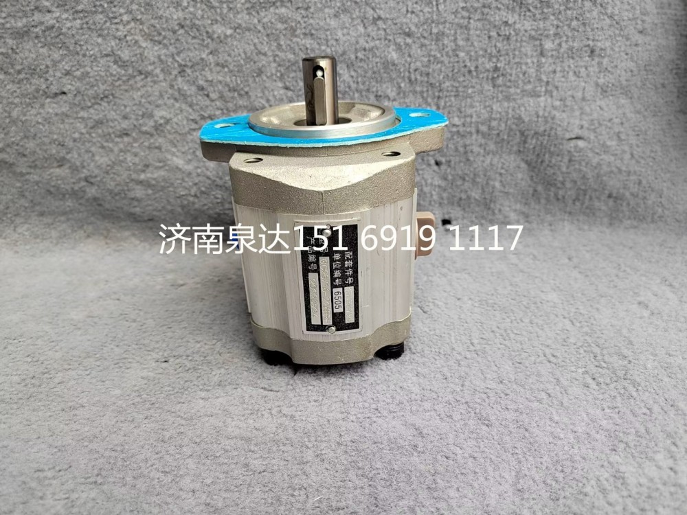 潍柴道依茨发动机转向助力泵转向泵液压泵13038728/QC25/16-226BRF