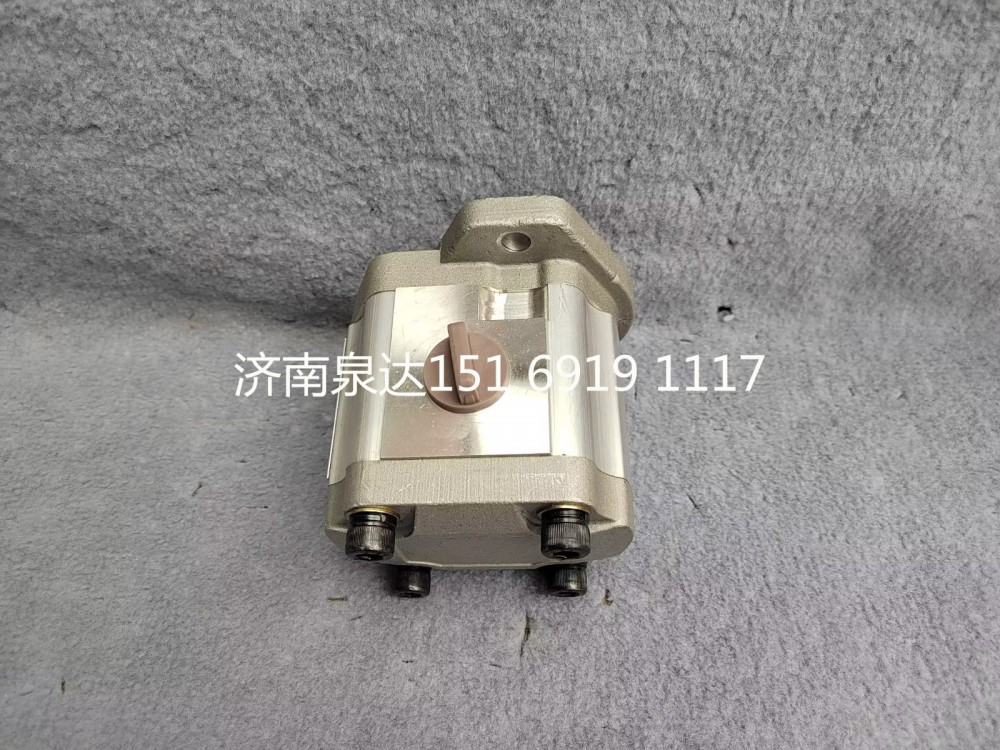 潍柴道依茨发动机转向助力泵转向泵液压泵13038728/QC25/16-226BRF