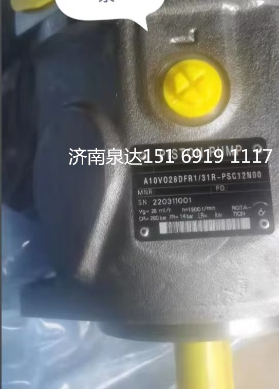 HA10V028DFR/31R-PSC1200-S01,转向助力泵,济南泉达汽配有限公司