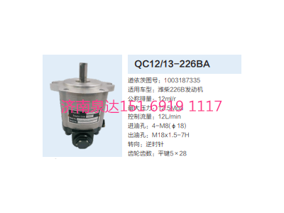 QC12/13-226BA,动力转向齿轮泵,济南泉达汽配有限公司