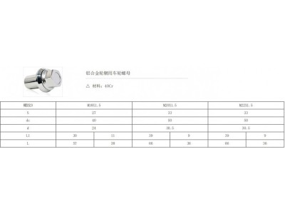 ,轮毂螺母,上海振高汽车科技有限公司