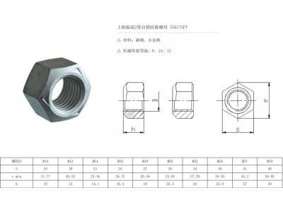 ,自锁螺母,上海振高汽车科技有限公司